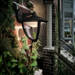 Philips Robin Wit Licht Zwart Hangend 9 Philips Robin Wit Licht Zwart Hangend -Gamma 123 1732