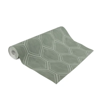 Superfresco Easy Vliesbehang Hexagon Groen 118149 7 Superfresco Easy Vliesbehang Hexagon Groen 118149 - Afbeelding 5